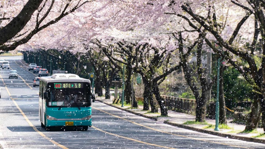 What-You-Should-Know-About-Casino-Bus-Trips-on-guestposting